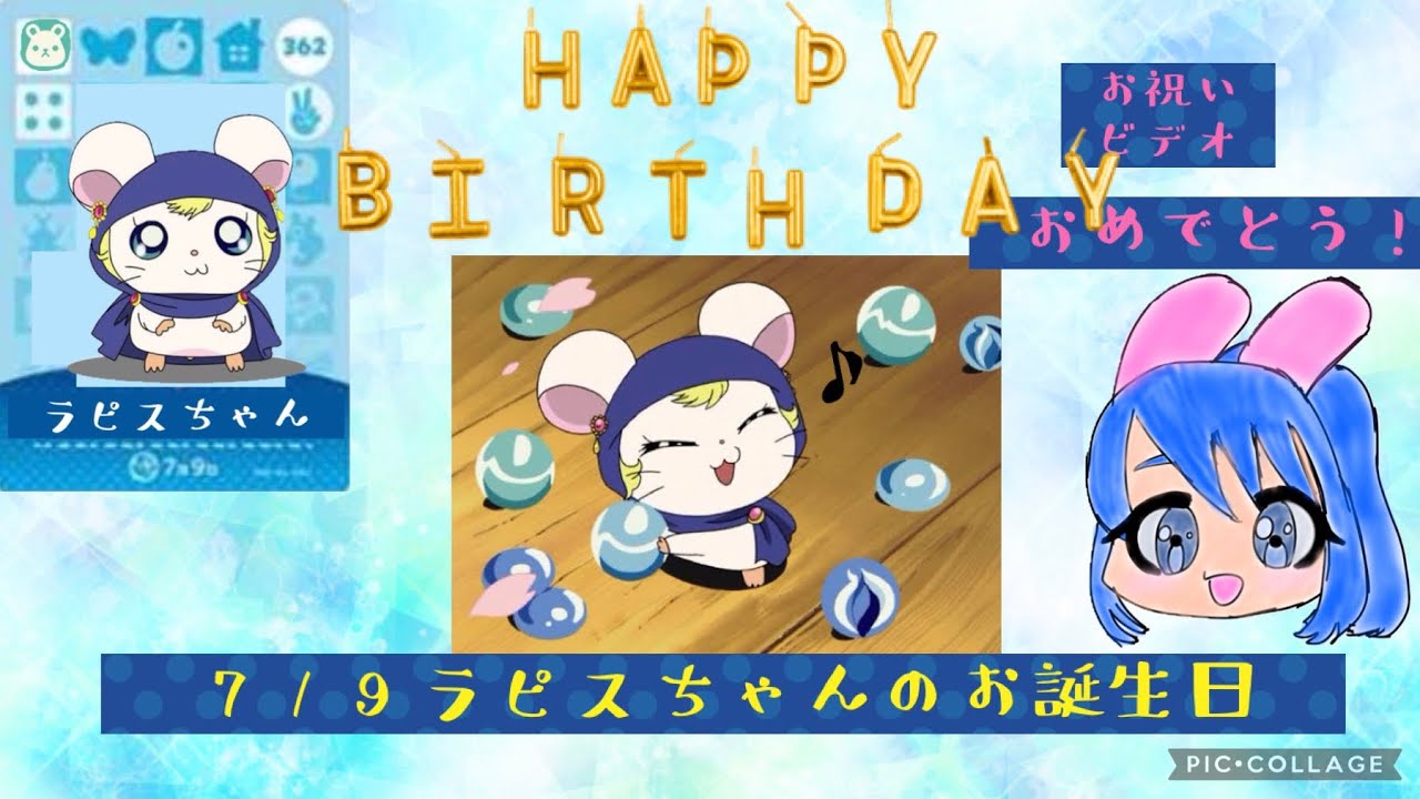 ラピスちゃんの誕生日スペシャル❣️遅くなってすみません【ハム太郎