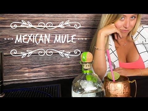 how-to-make-a-mexican-mule-l-tequila-drinks-l-cocktail-recipes-l-women-l-alcohello