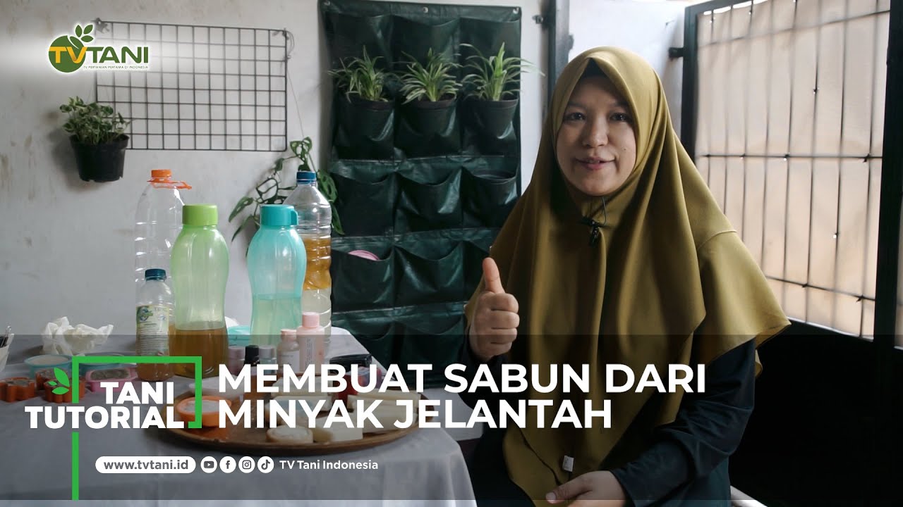 Cara Membuat Sabun dari Minyak Jelantah