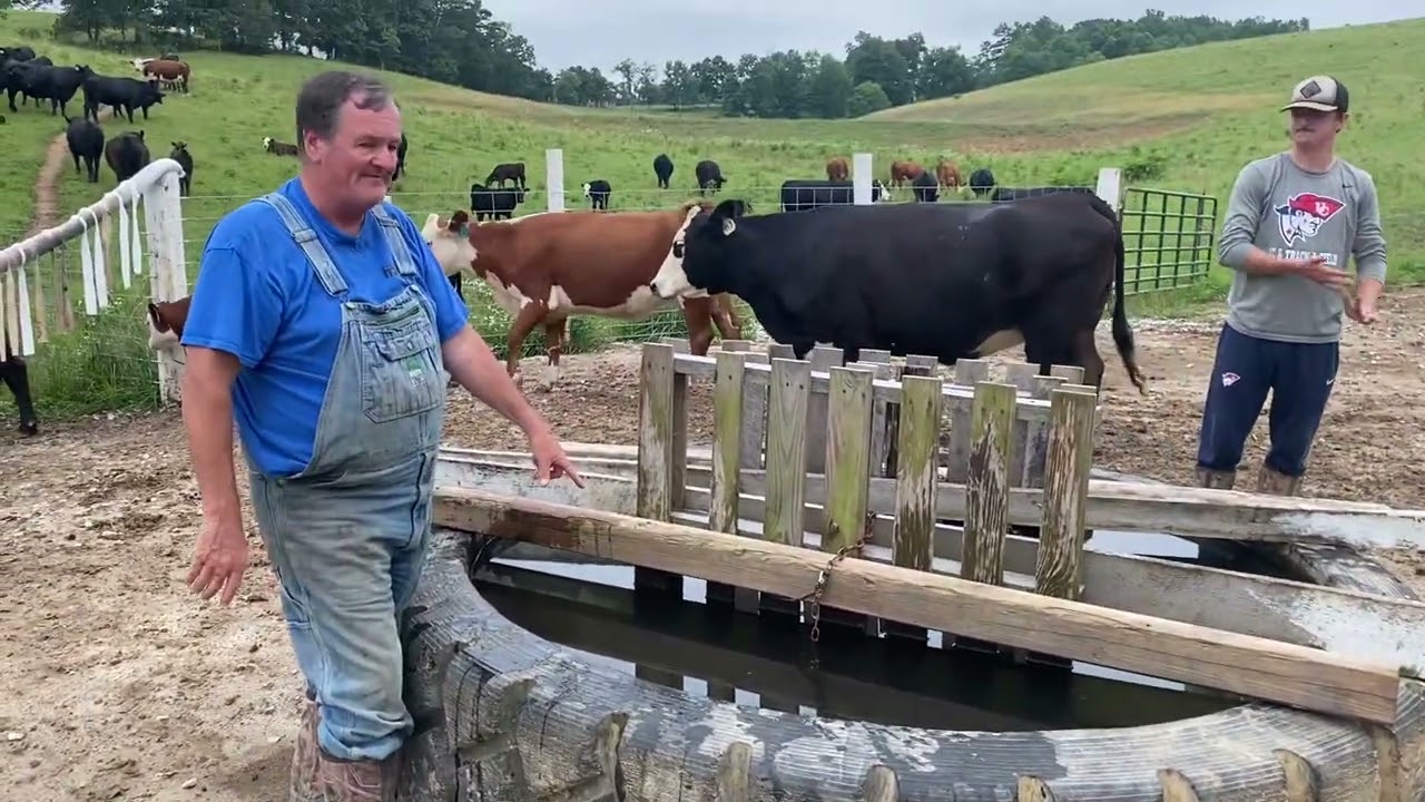 Tire water tank explained {free water}