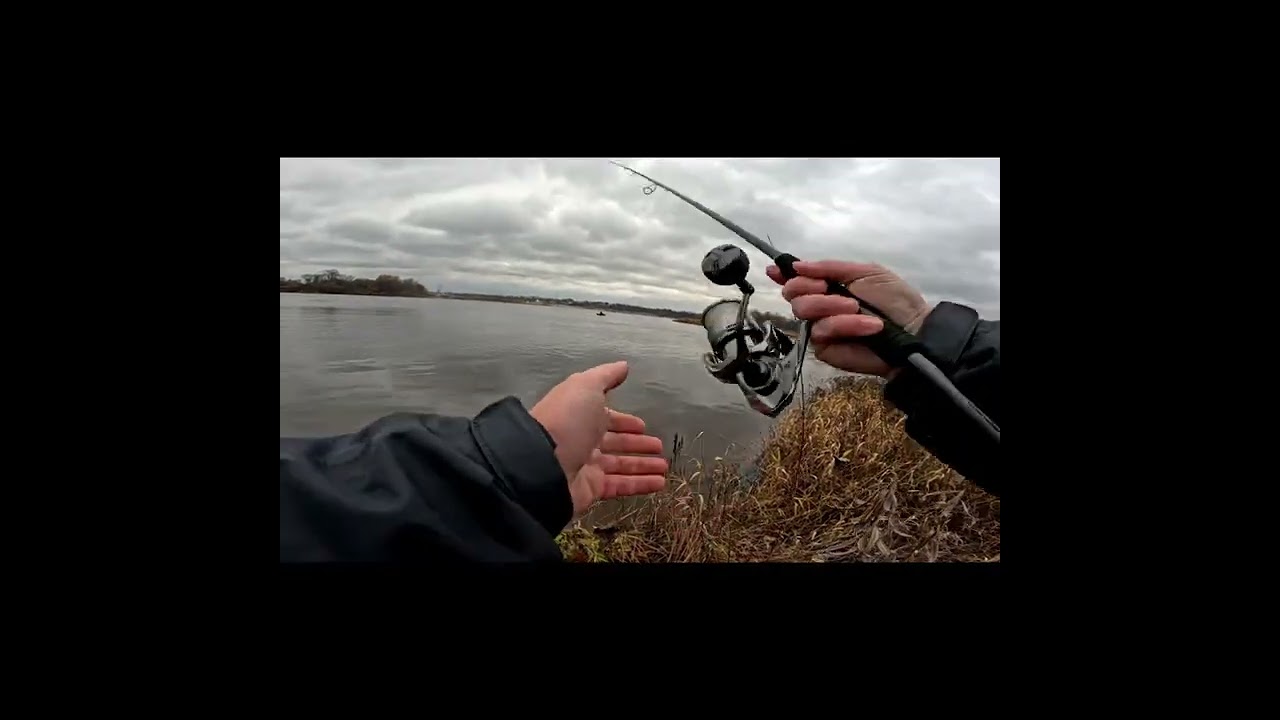 Рыбалка на отводной поводок. Спиннинг GEAR и Shimano Twin Power 4000 PG