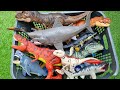 HUNTING Atrociraptor, Tyrannosaurus Rex, Mosasaurus, Megalodon Shark, Titanosaurus, Giganotosaurus