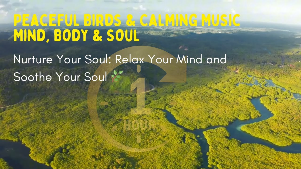 Nurture Your Soul | Peaceful Birds & Calming Music for Relaxation | Infinite Harmony