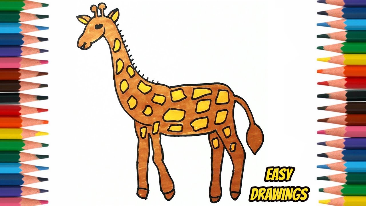 Learn How To Draw a Giraffe Step By Step - Easy Drawings - YouTube