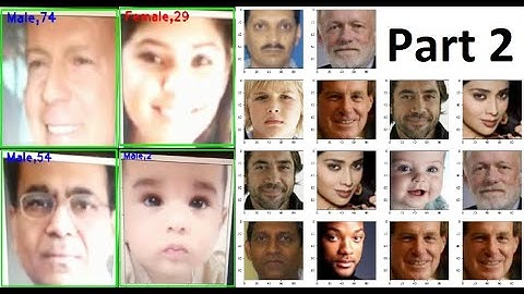 Age and Gender Recognition Android App Using TensorFlow Lite (GPU) and OpenCV: Loading Model Part 2