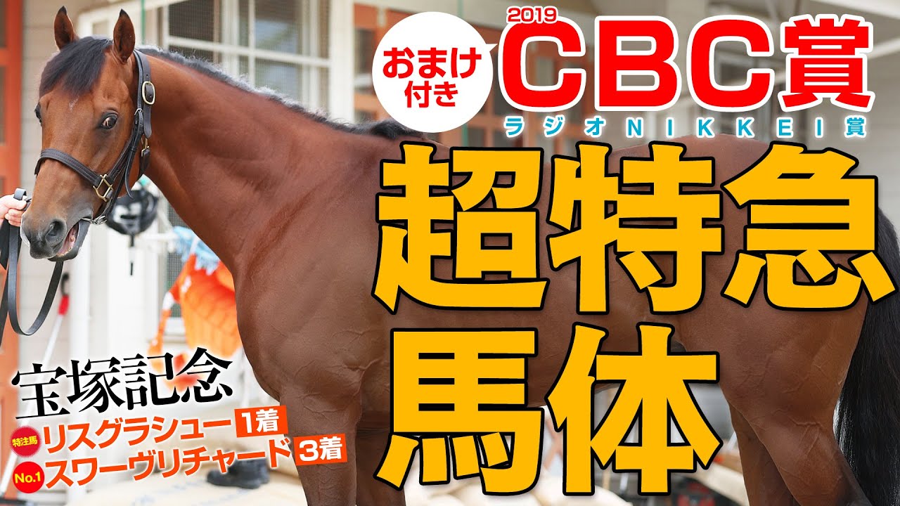 馬体講座 短距離馬と長距離馬の見分け方 某大手牧場の元スタッフによる馬体講座part1 19 競馬予想 Youtube