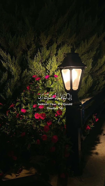 حالات واتساب | دينية | ستوريات انستغرام | 🤍✨