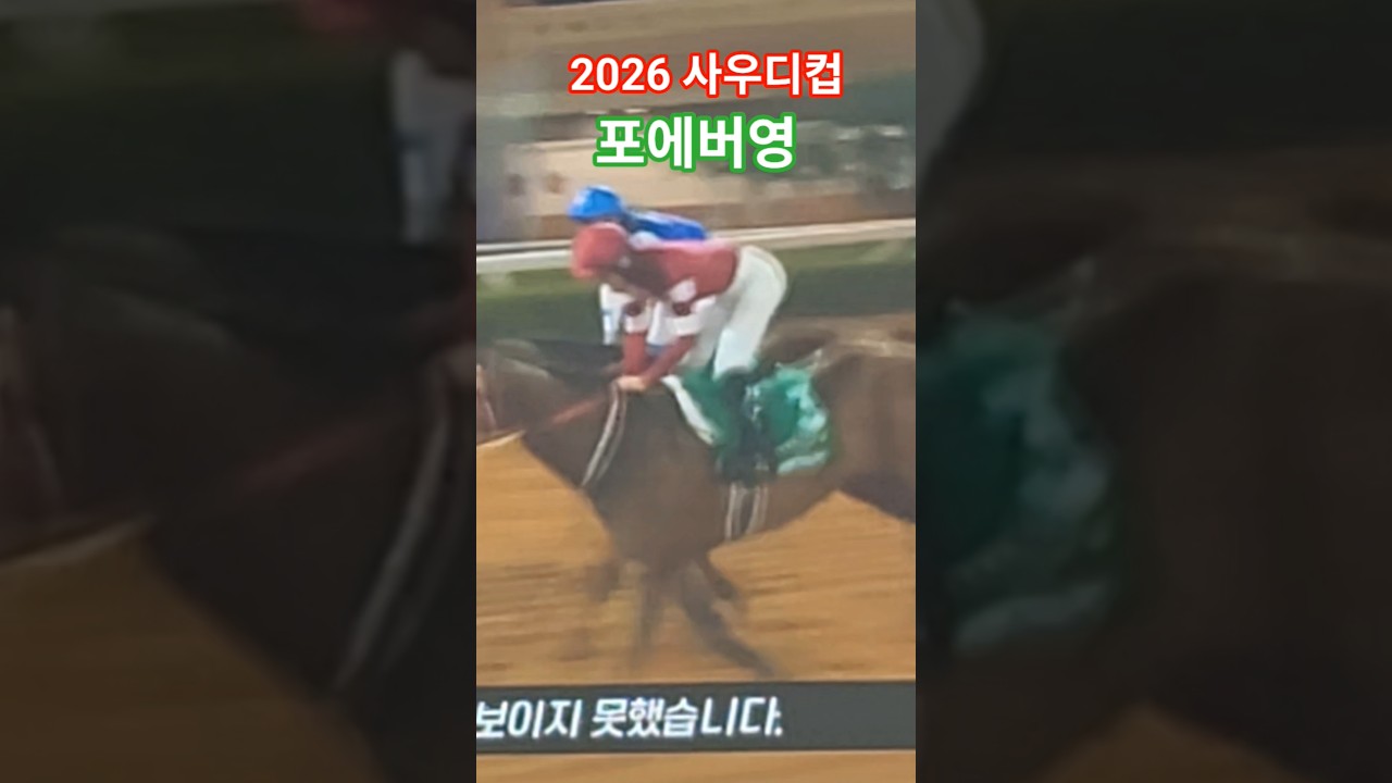 말 좋네~#경마 #말 # 달려라말 #shorts #horse