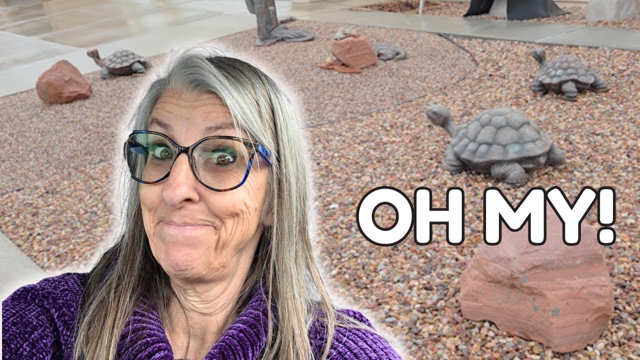 WHAT TROUBLE DID I GET INTO at this Las Vegas Estate Sale