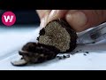 Truffle: Black Gold | Culinary Treasures of the Earth