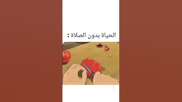 #اكسبلور #المصحف #quran #الرحمن #foryou #تلاوة_خاشعة #لايك #القرآن_الكريم #ترند #دويتو