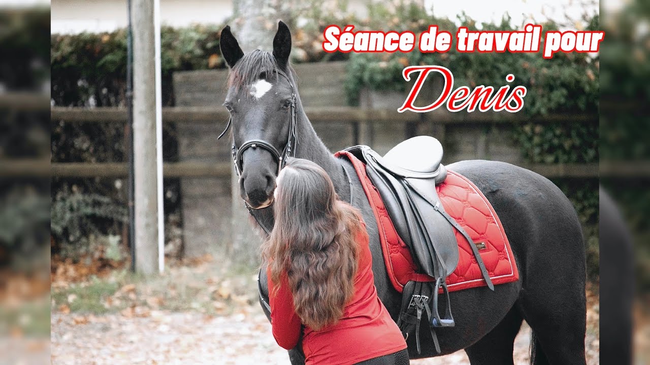 Séance de travail avec mon jeune cheval ❤️