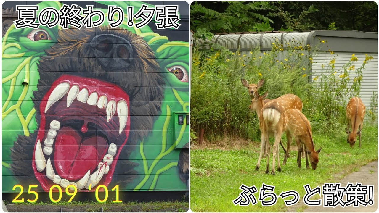 夏の終わり!夕張ぶらっと散策【過走行ワゴンRで走り回り動画撮ってます】まだまだ走れます