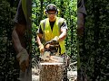 easy work #chainsaw #youtubeai #wood #machine #woodworking #automobile #stihl