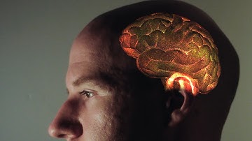 How to cure brain rot
