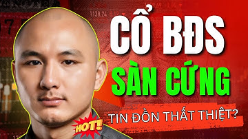 NÓNG: Cổ Phiếu Bất Động Sản Giảm Sàn Cứng - Điểm Đảo Chiều?