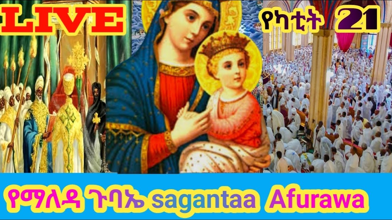 #ዛሬ_የካቲት_21_ነው #ቅድስት_ድንግል_ማርያም #ከወይበላ_ማርያም