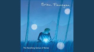 Video thumbnail of "Brian Finnegan - Steps"