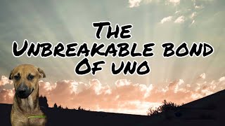 Update on the dog The unbreakable bond of Uno