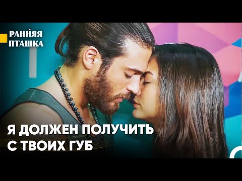 Эта любовь будет наблюдаться до утра - Ранняя пташка