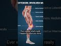knee joint movements #medicalstudent #medical #biology