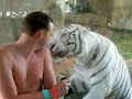 White Tiger attacks man
