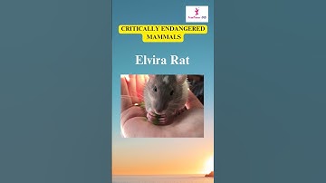 Critically endangered species of India FemPower IAS #critically_endangered  #mammals #Prelims #upsc