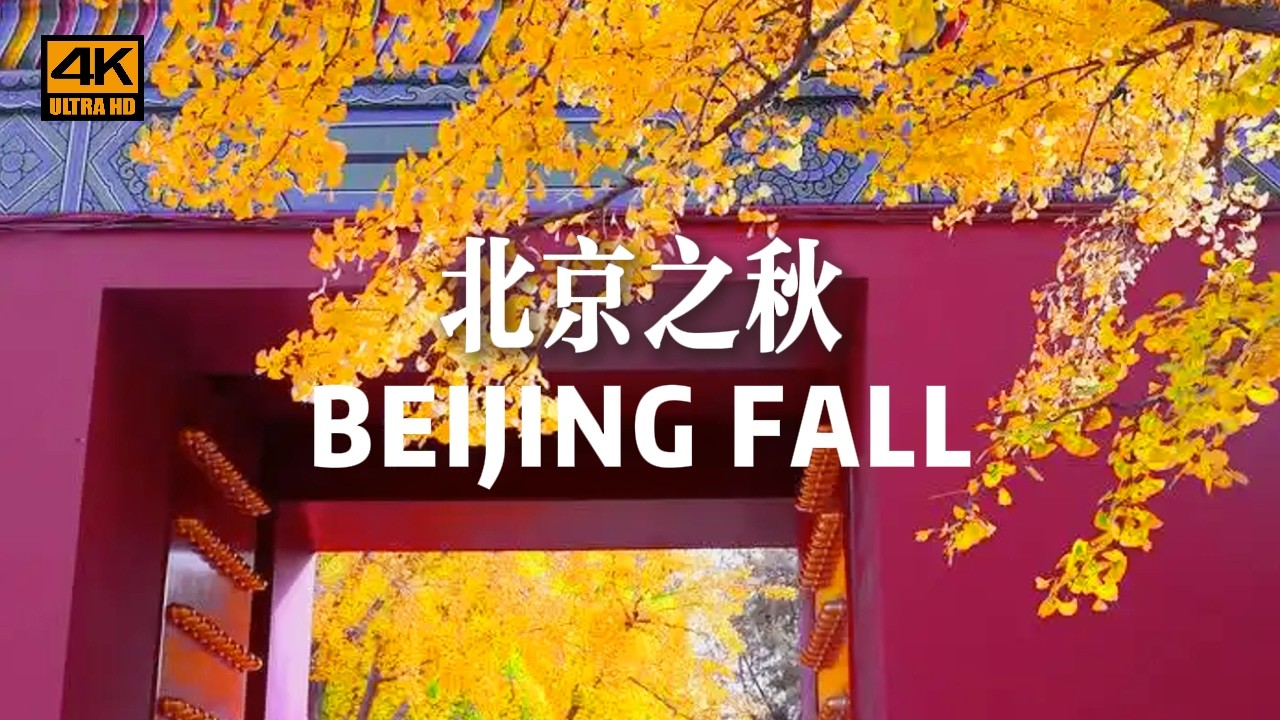 [4K] Пекин поздней осенью | Красочные пригородные пейзажи и тихий город под осенним дождем