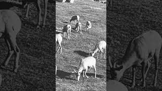 Download Lagu Random pictures I found in my gallery #dj #music #remix #love #edm MP3