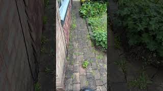 Help, what can I get to plant into this new flower bed for this customer? #flowercrew #onelifeliveit