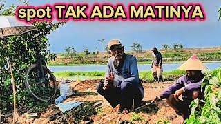 Anti-boncos spot // latest Rawa Pening fishing spot