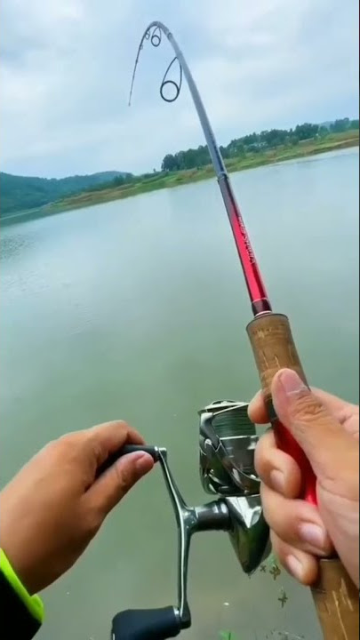 suara nya itu loh #mancing #mancingmaniamantap #shorts