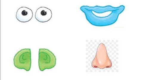 Show and Tell 1 - Unit 3 - Lesson 2