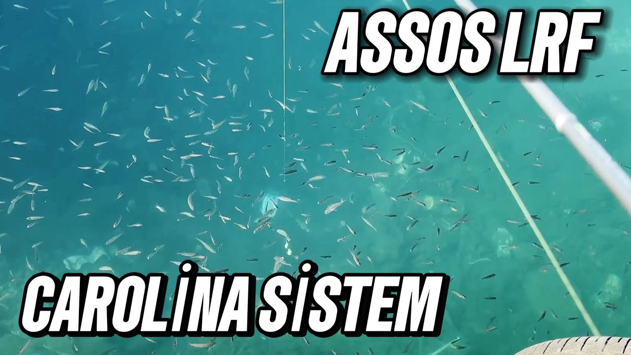 Çanakkale Assos'ta Çin Kurdu ile LRF Balık Avı