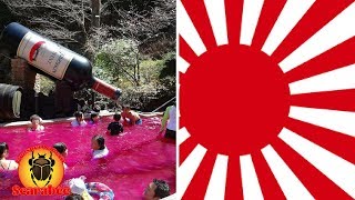 10 CHOSES INSOLITES QUE VOUS POUVEZ VOUS PAYER AU JAPON