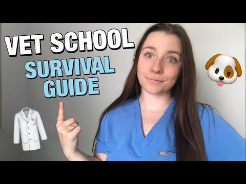 Video: 5 cose che non ho imparato nella scuola veterinaria