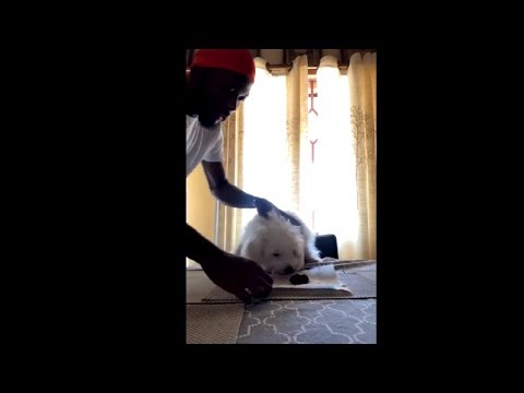 Didn T You Have Enough 辞書