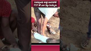 కాలు విరిగింది..ఏమి చెయ్యాలి? #Dr.Bhaskar #POP #Splint