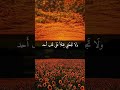 اللهم لا تجعلني وجعا لأحد ولا تجعلني ثقلا على قلب أحد ولا تجعلني سببا في بكاء أحد