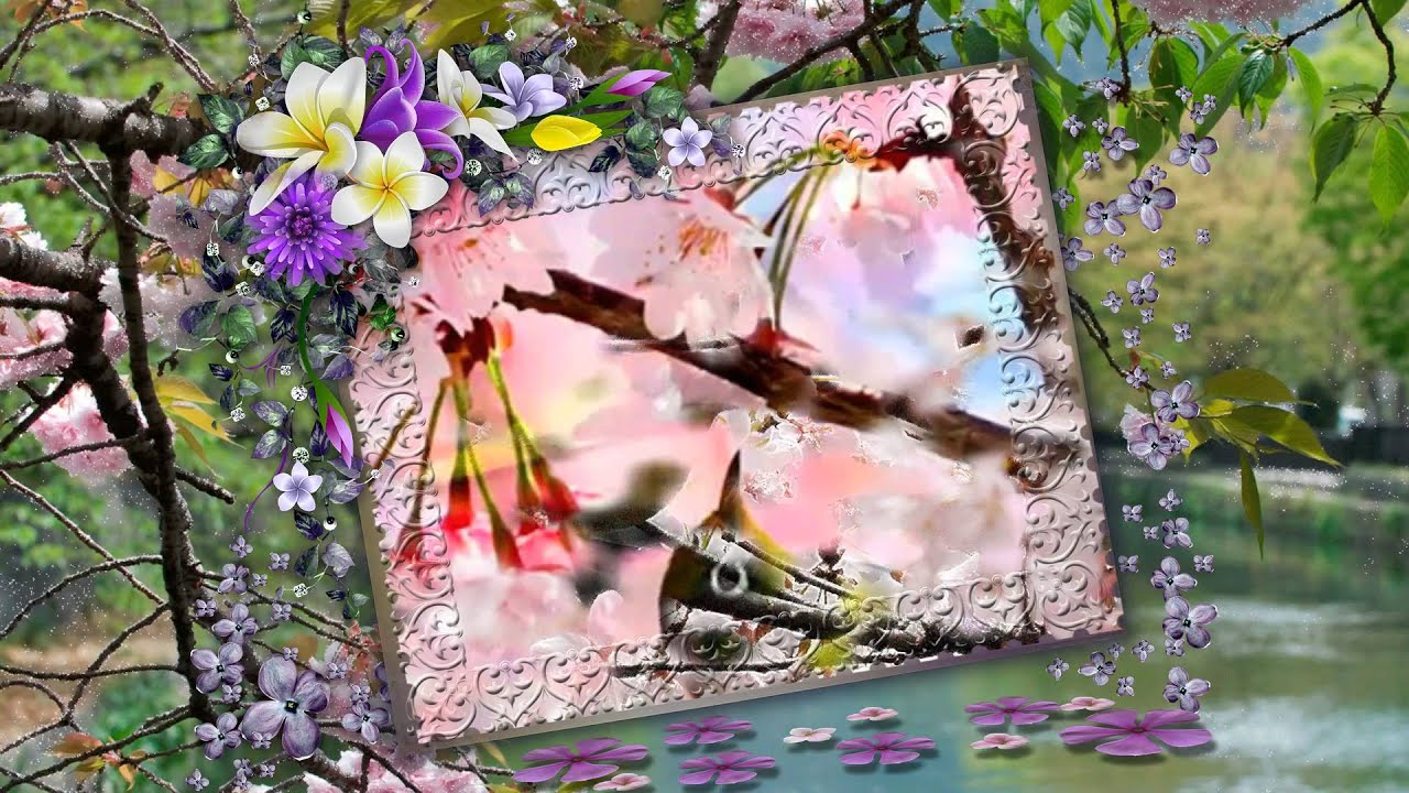 Весенняя музыка 2024. Цветочная мелодия весны. Весенняя композиция природа хорошего разрешения.
