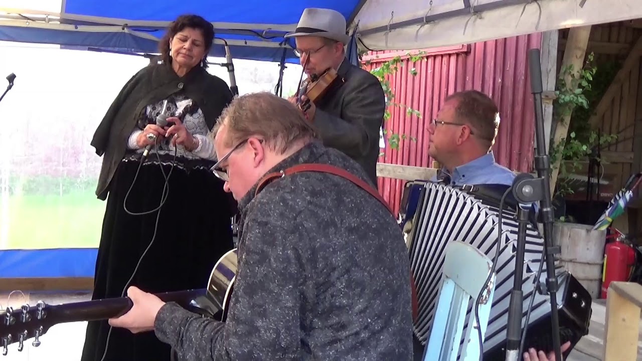 Koko yön kupsajaiset 2017 Hilja Grönforssin konsertti Lapin tango