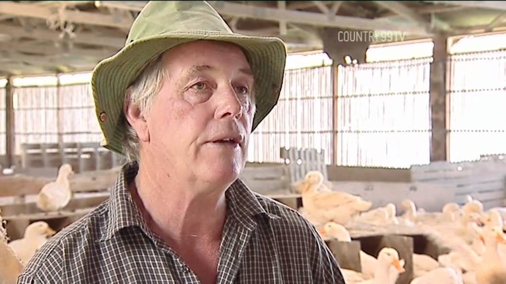 A Man With His Ducks In A Row - YouTube