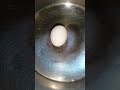 Egg Eatingchallenge D38 mp3
