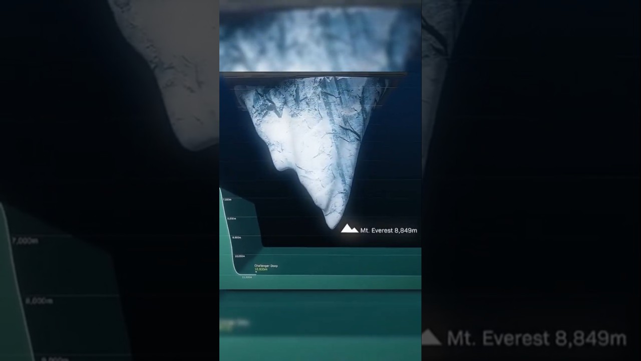 Unveiling the Ocean's Depths: A World Beyond Imagination!