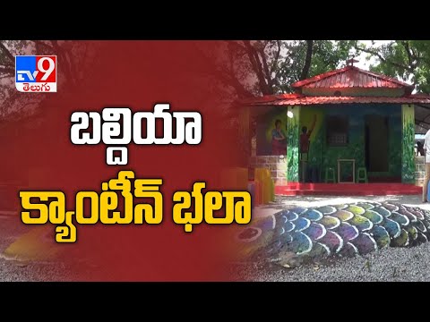 Warangal లో అకట్టుకుంటున్న GWMC canteen painting - TV9