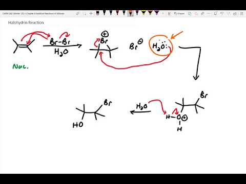 Halohydrin Reaction, Anti dihydroxylation, and Syn dihydroxylation ...