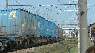 岡山電車区D31＋D19編成・1052列車［新］EF210-348