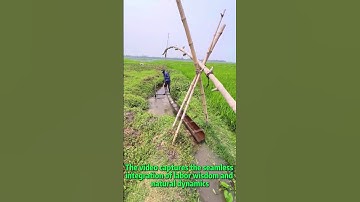 Power of Traditional Wisdom! Lever Principle + Bamboo Tools for Efficient Water Transfer