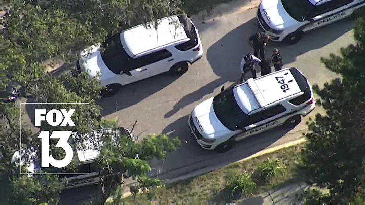 Four teens arrested after multiple car burglaries in Tampa