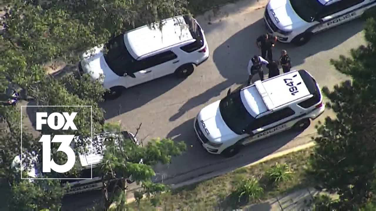 Four teens arrested after multiple car burglaries in Tampa - YouTube